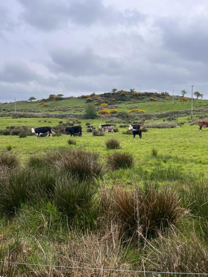 Lacken Farmyard Kilmihil Exteriör bild