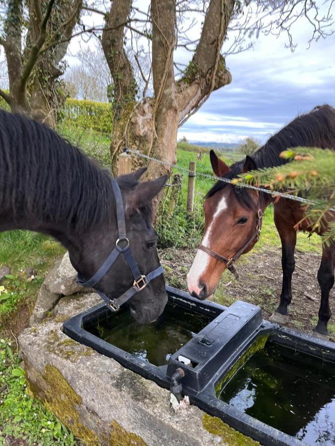Lacken Farmyard Kilmihil Exteriör bild